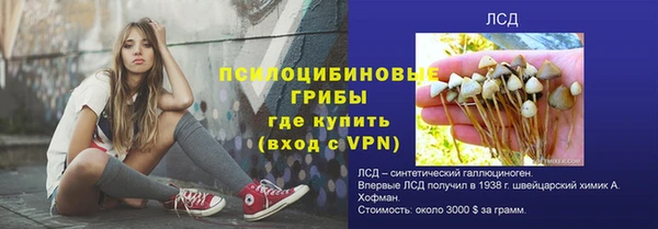 мдпв Бугульма